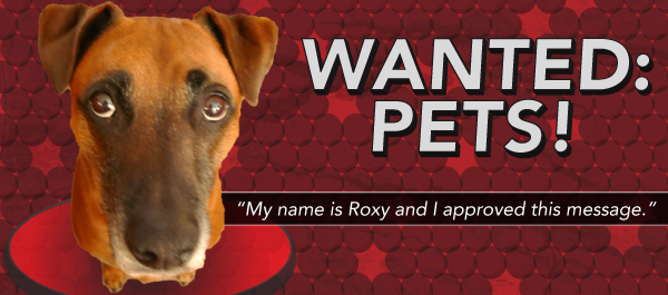 Wanted Pets-Top Banner 