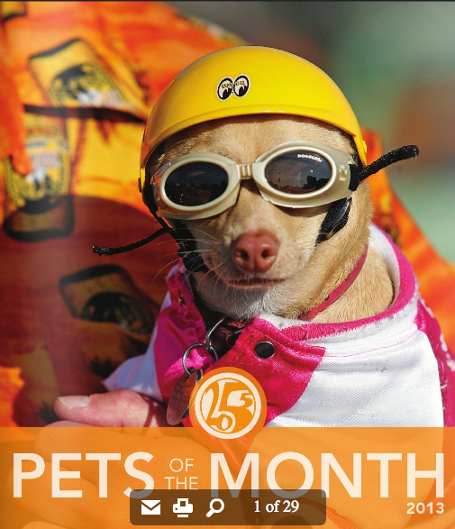 Flip-Flop Pets Calendar