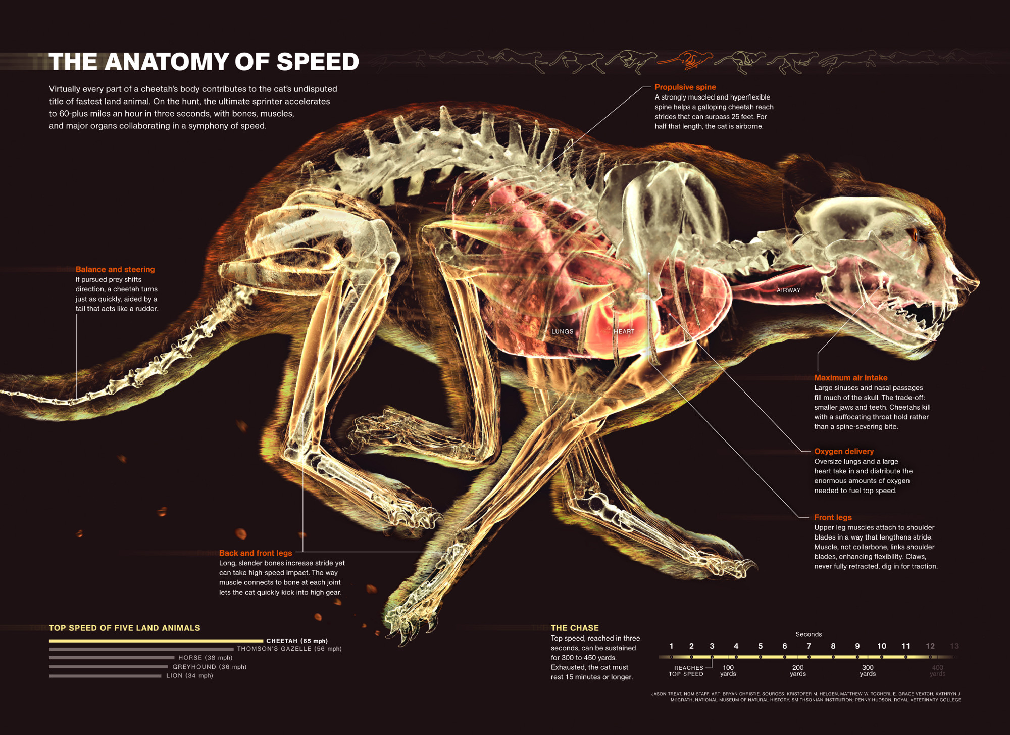 The Anatomy of Speed, by Jason Treat & Bryan Christie