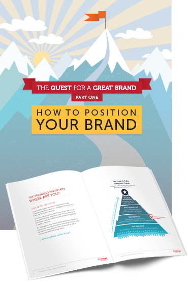 Ebook: The Quest for a Great Brand