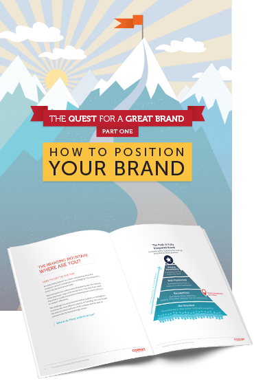 e-book: The Quest for a Great Brand