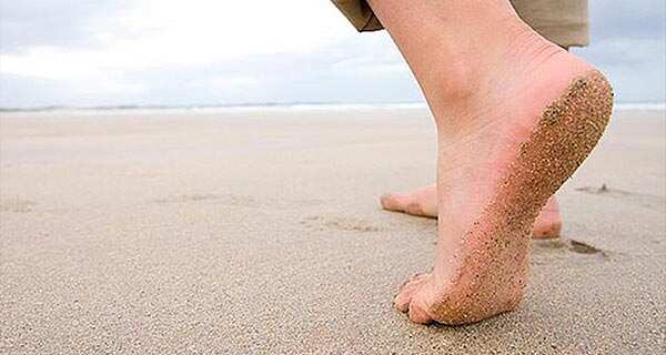 Excellagen Branding, Website Design Development, Illustration for Excellagen