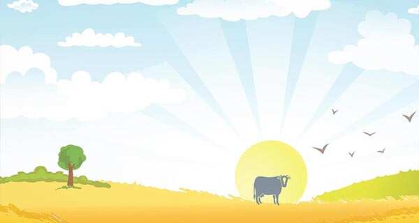 Z BioScience Logo Desgin, Website Design, Content Development for biotech supplier Z BioScience